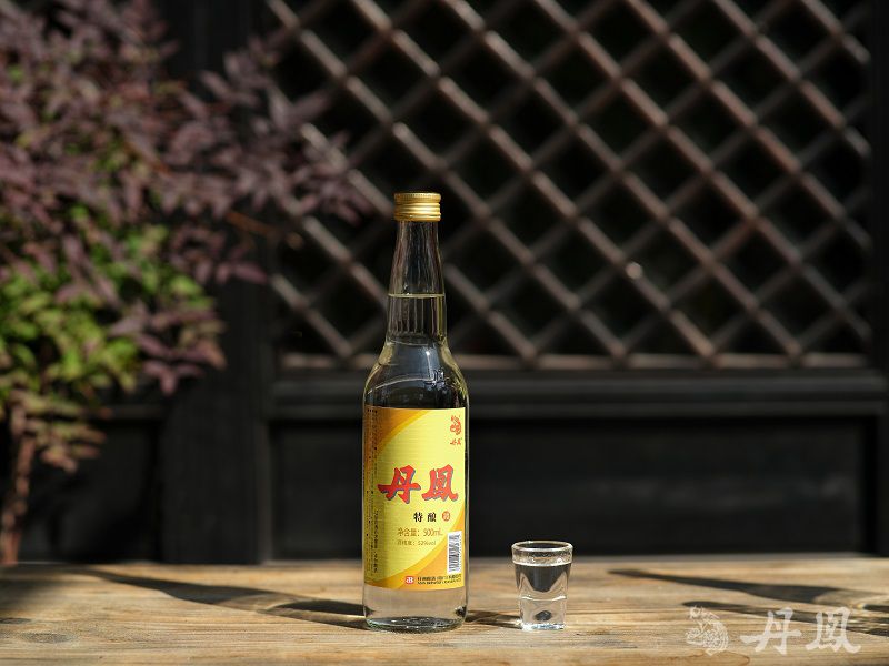 52°秋葵APP下载秋葵官网版免费特酿