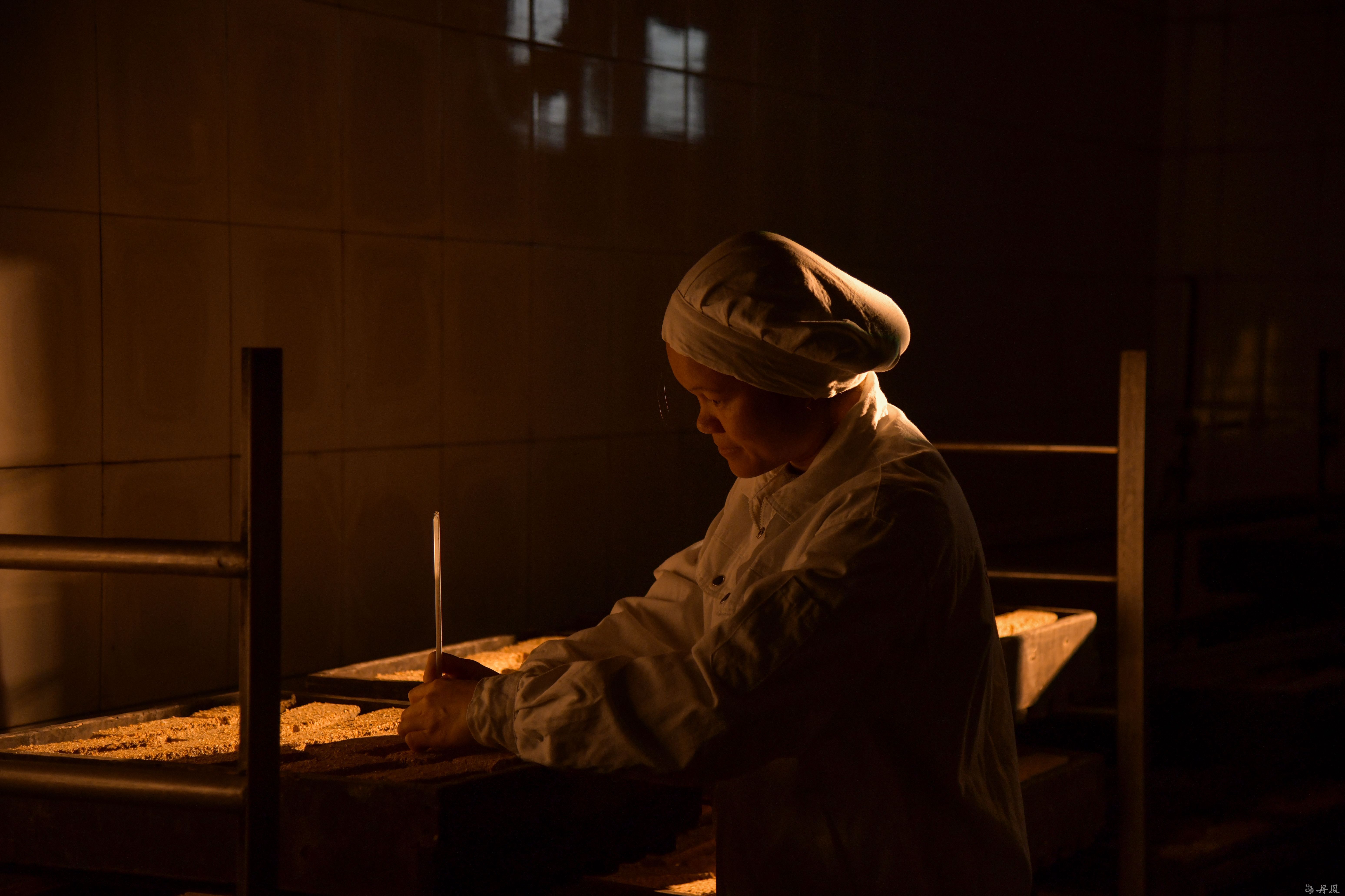 蒸煮、摊凉